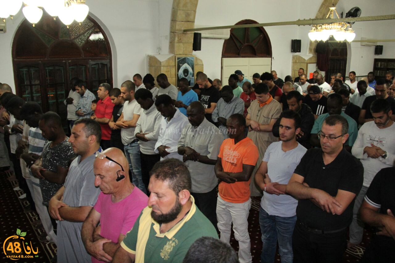 trawe7 salahsaj (29).jpg